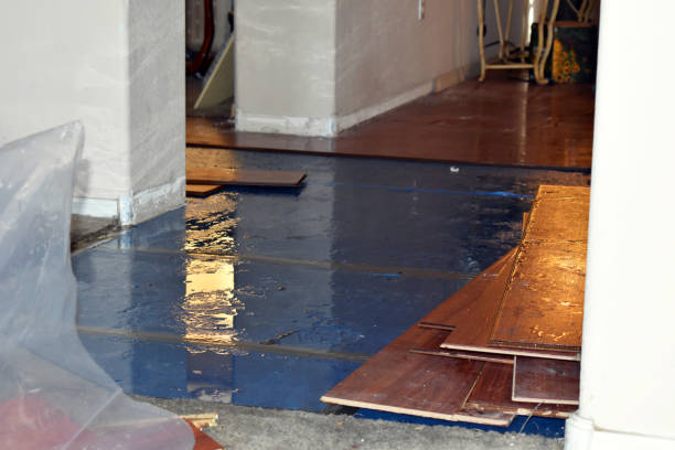 Professional Emergency Water Damage Restoration technician working in Round O, SC
